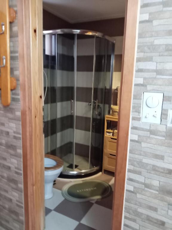 a bathroom with a shower with a toilet in it at Simic Apartmani Tara in Kaludjerske Bare