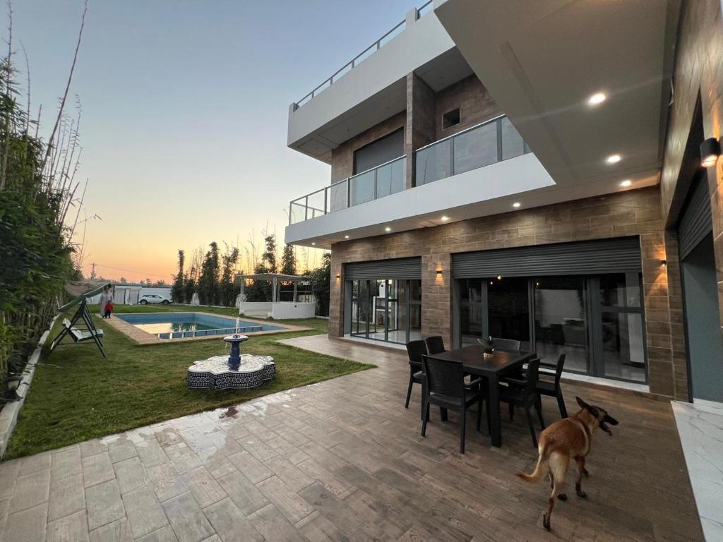 a dog standing in front of a house at villa lux in Kenitra