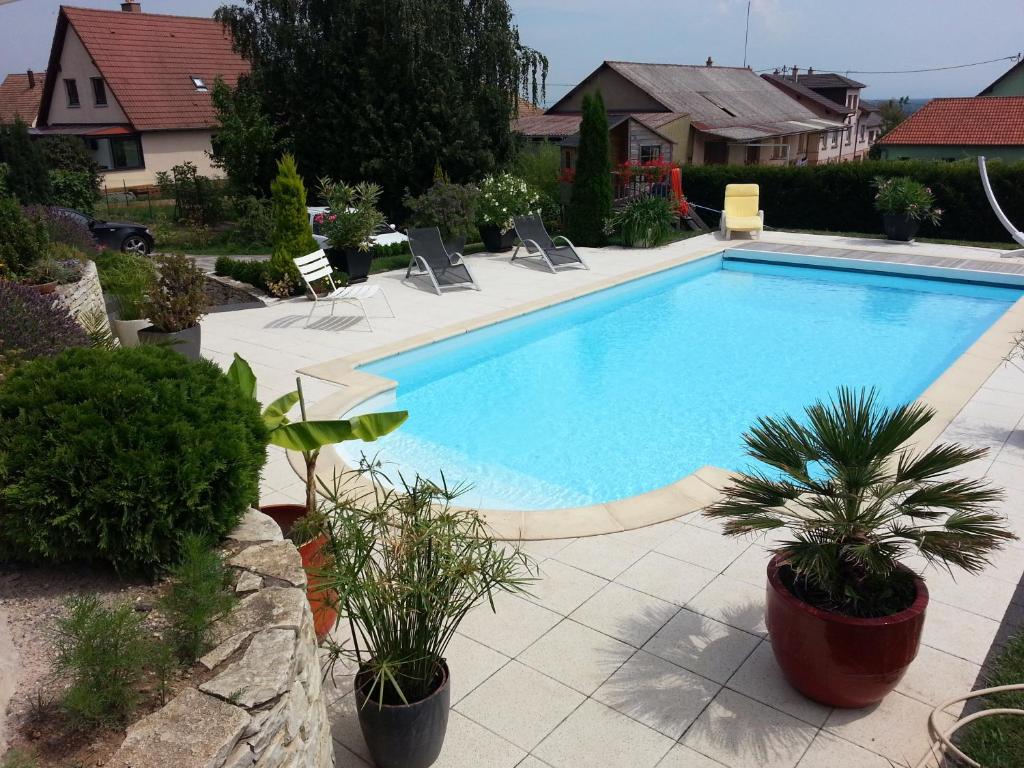 uma piscina com cadeiras e plantas num quintal em Au Coeur Du Vignoble em Orschwiller