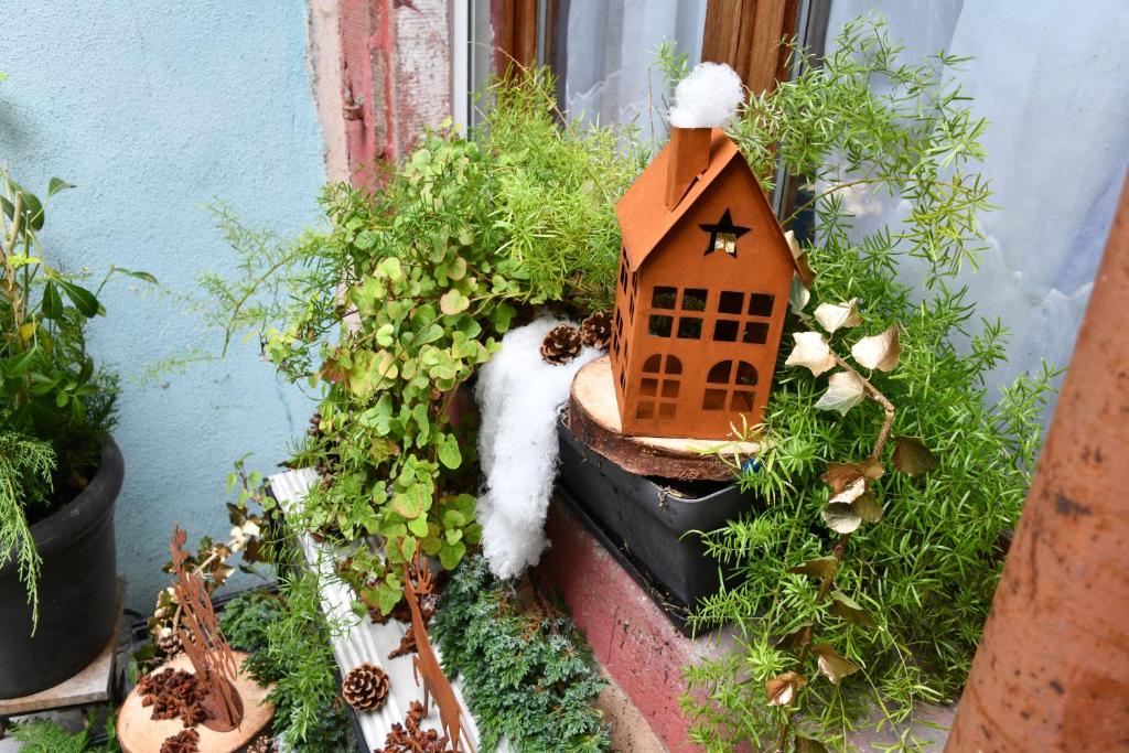 Gite See You Soon - Studio Fun – photo 22