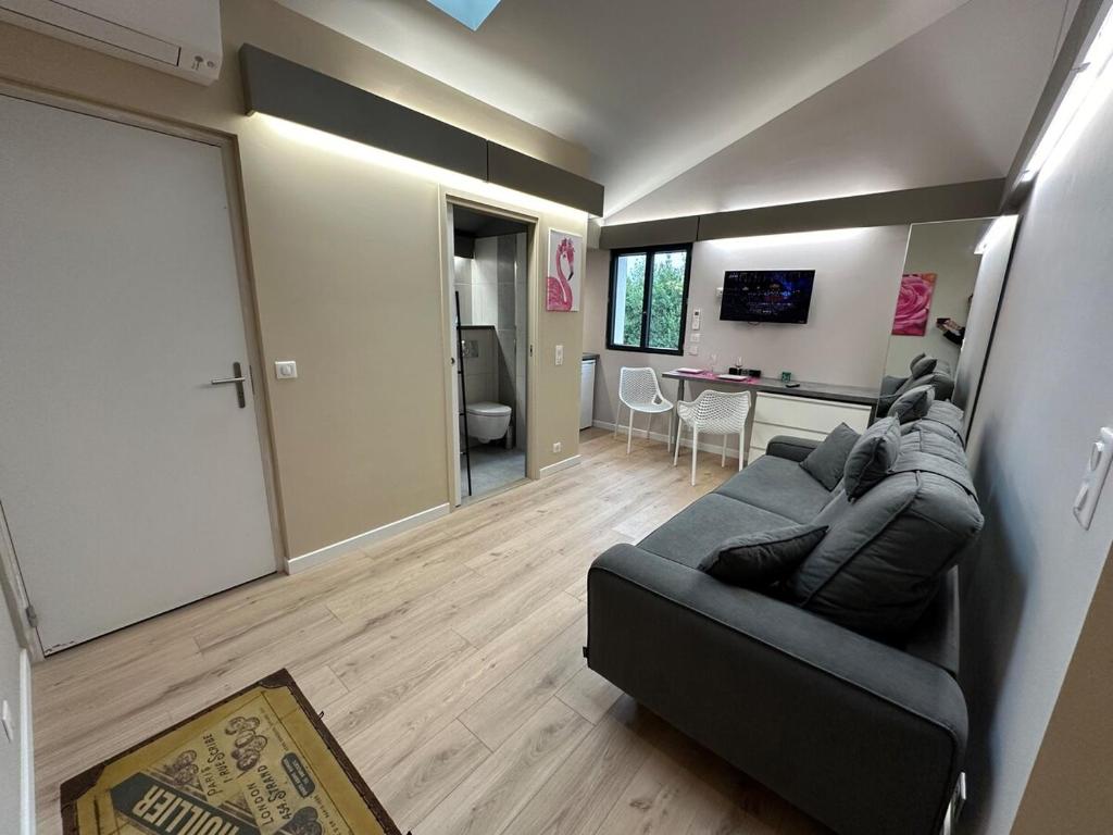 un salon avec un canapé et une table dans l'établissement L'Esquisse en Rose - Parking Clim Netflix Canal, à Milhaud