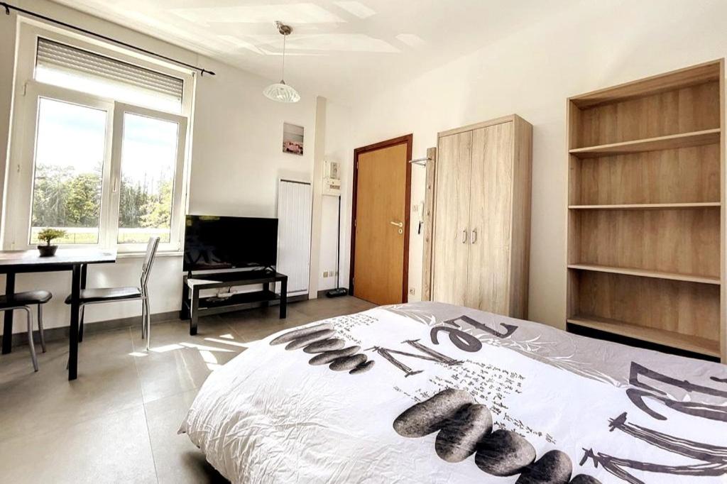 Huningoise Studio 2 Pers Proche Bale Parking Prive – photo 5