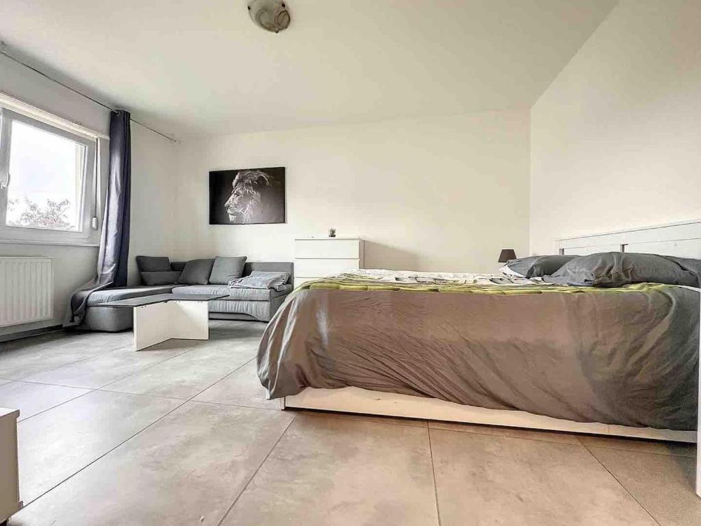 Super apartment Near Basel bale private parking – photo 7