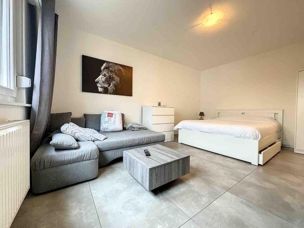 Super apartment Near Basel bale private parking – photo 2