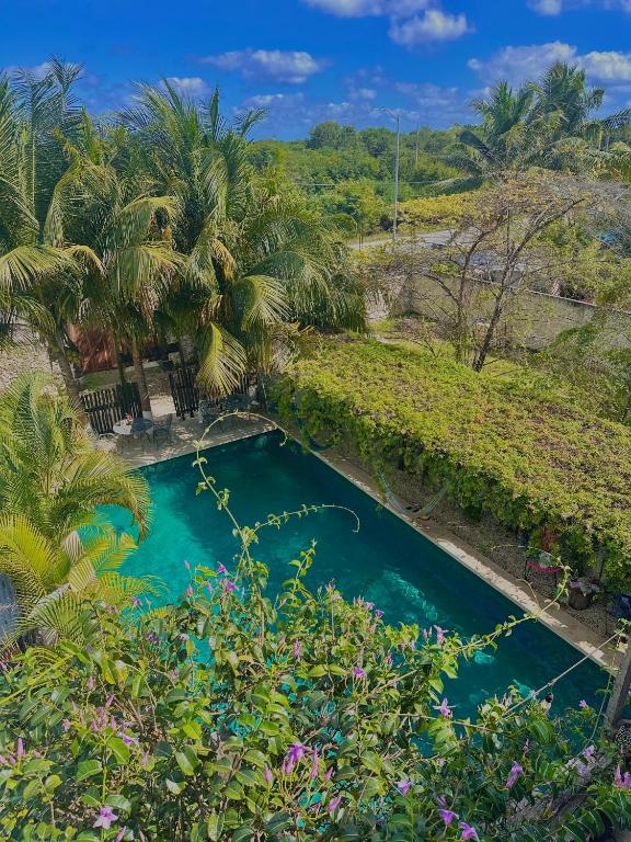 an overhead view of a swimming pool with palm trees at Hotel Jaiba Mahahual - Adults Only in Mahahual