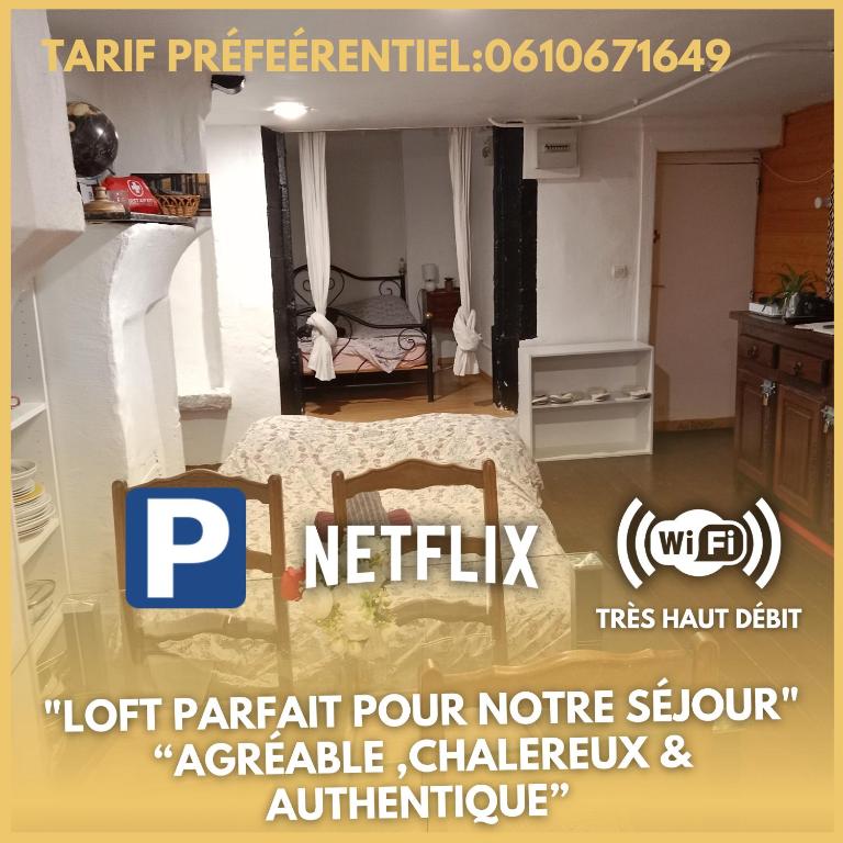 Cet appartement en duplex dispose d'une cuisine et d'un salon. dans l'établissement l'HYPERCENTRE, à Clermont-Ferrand