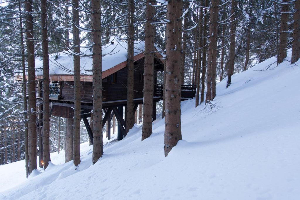 a log cabin in the snow next to some trees at Cabane entre terre et ciel in Saint-Nicolas-la-Chapelle