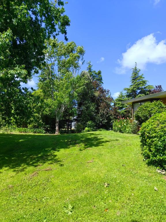 Cozy 2 ?????? - Resim 14