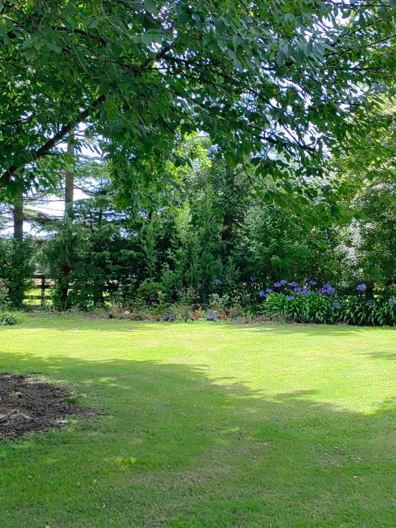 Cozy 2 ?????? - Resim 24