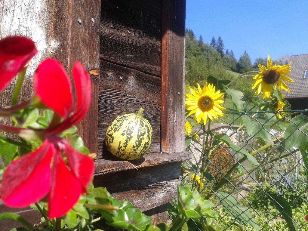 Fotografie z fotogalerie ubytování Ranacherhof v destinaci Obervellach