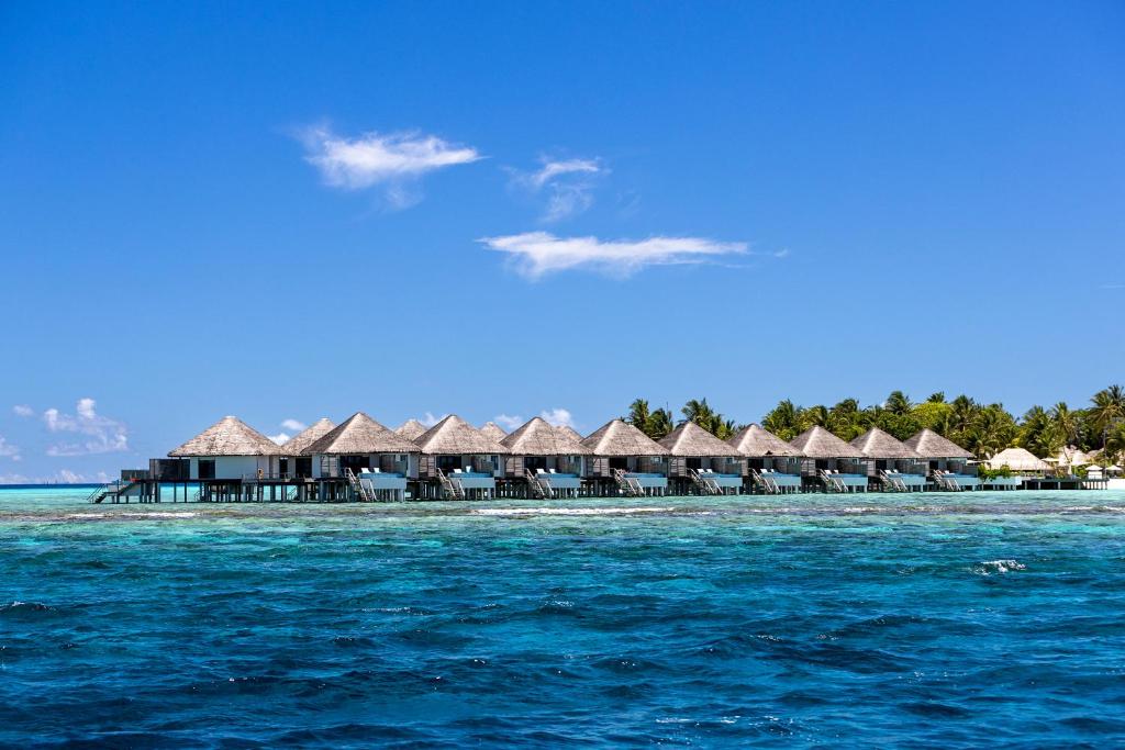 Niva Velassaru Maldives - 19