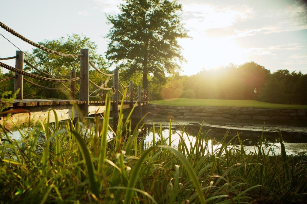 a swing bridge over a pond with the sun shining at Cedar Creek in New Haven