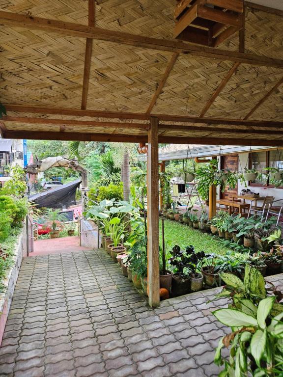 Beach Lokal Home Hostel - Standaard Tweepersoons- Of Twinkamer Met Uitzicht Op De Tuin