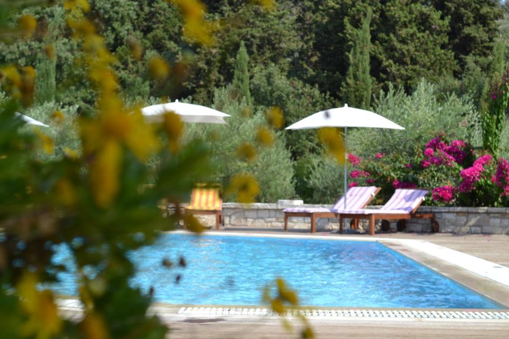 a swimming pool with two chairs and umbrellas next to it at Alkyon Villas in Syvota