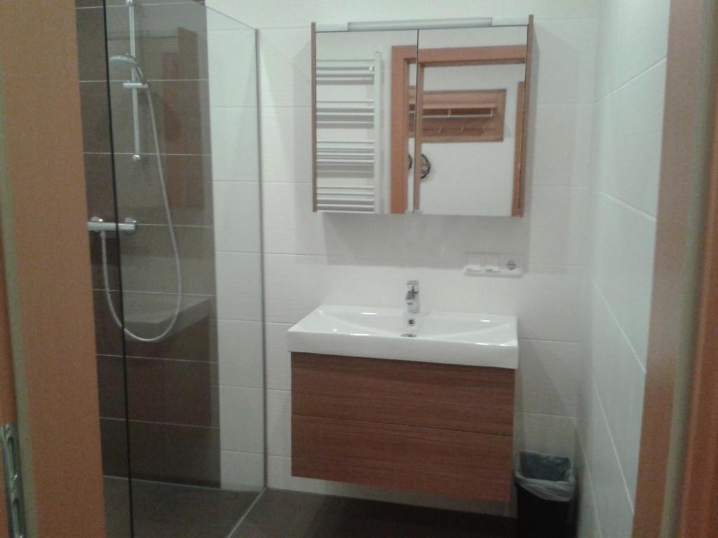 Koupelna v ubytování Appartement Alpenglück