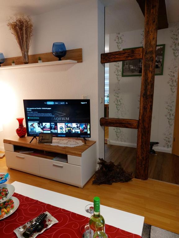 TV a/nebo společenská místnost v ubytování Ferienwohnungen Janine EG und Angelina OG
