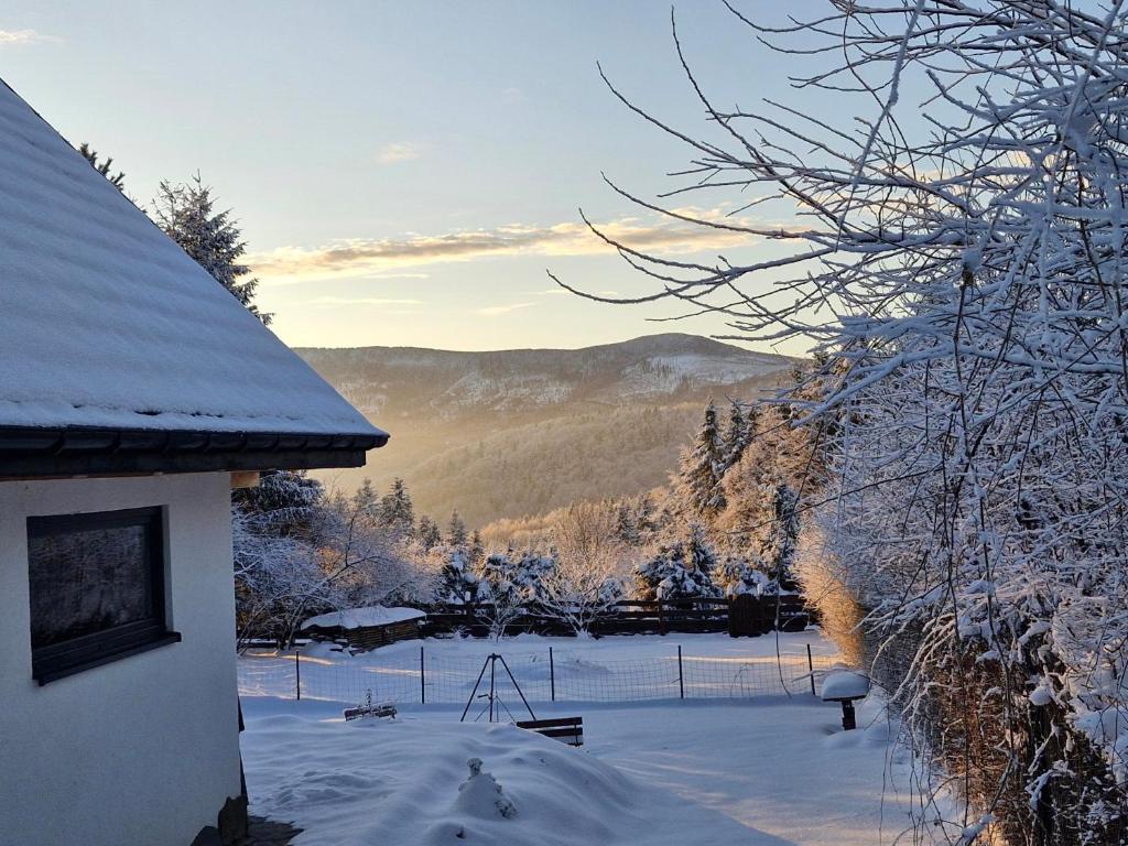 Widokówka - Two-Bedroom Chalet