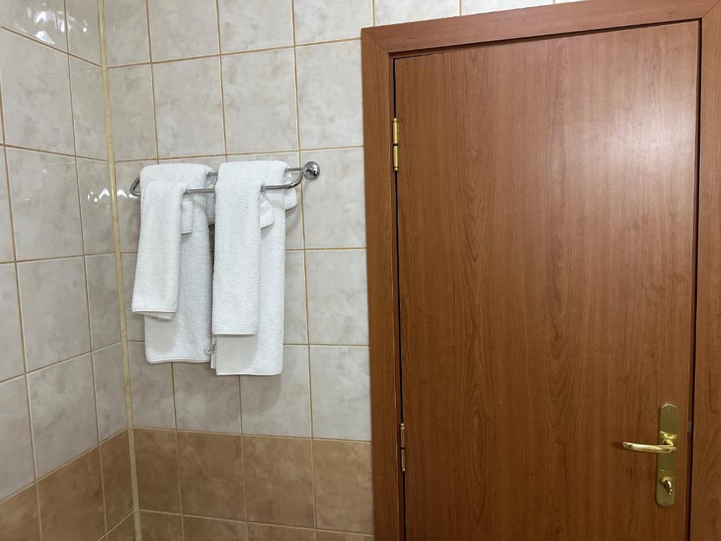 Studio in Hotel Flora Borovets - Studio Apartment