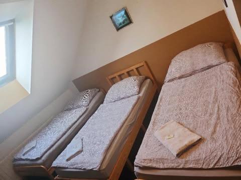 Postel nebo postele na pokoji v ubytování Penzion u Martina
