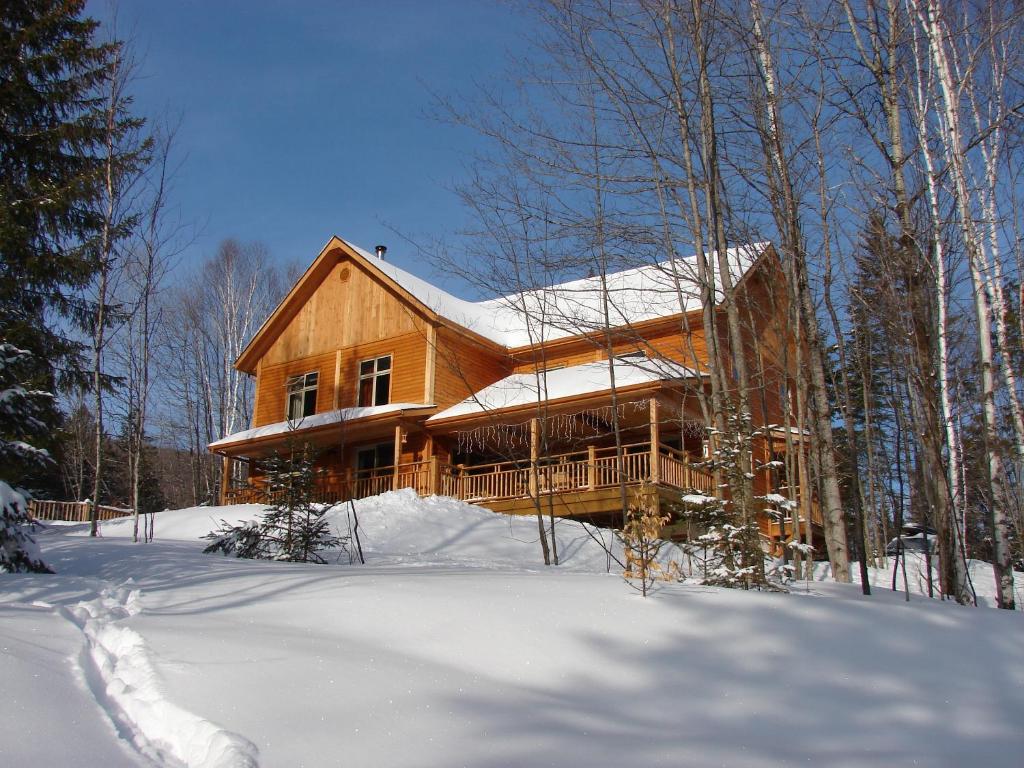 ein Holzhaus im Schnee im Wald in der Unterkunft Escale du Nord in Mont-Tremblant