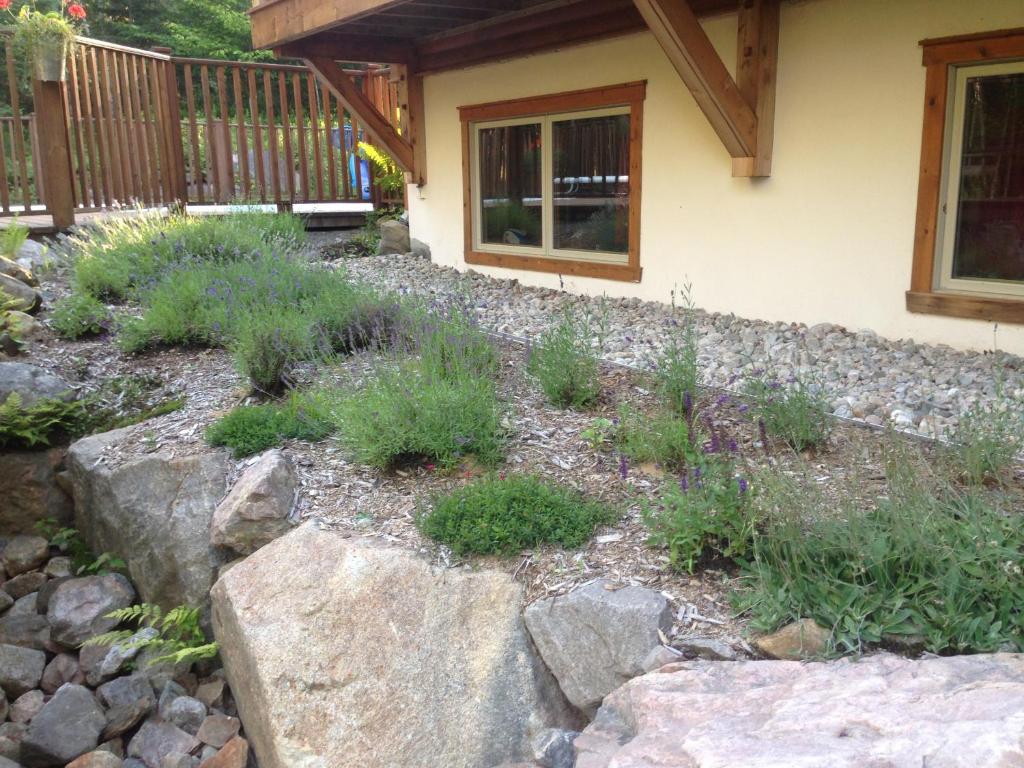 Ein Garten an der Unterkunft Escale du Nord