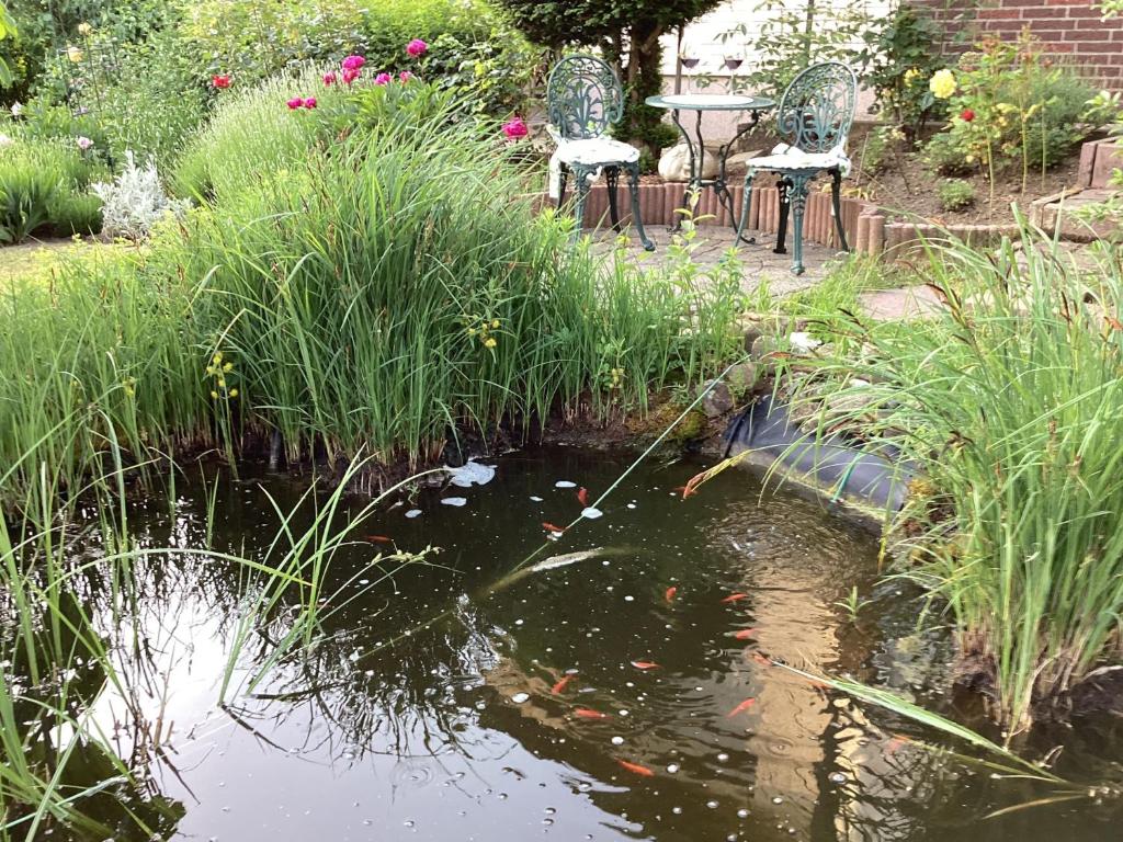 a garden with a pond with kites in it at Ferienwohnung Krapohl in Bad Harzburg