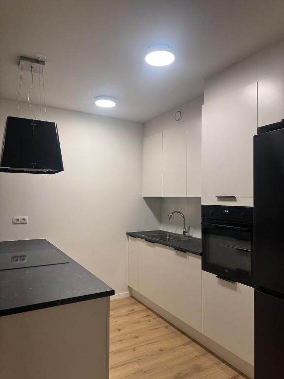 Kuchyň nebo kuchyňský kout v ubytování Minimalistic, Flat, Kópavogur