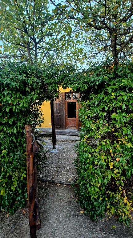 Agriturismo Isola Verde - Family Studio