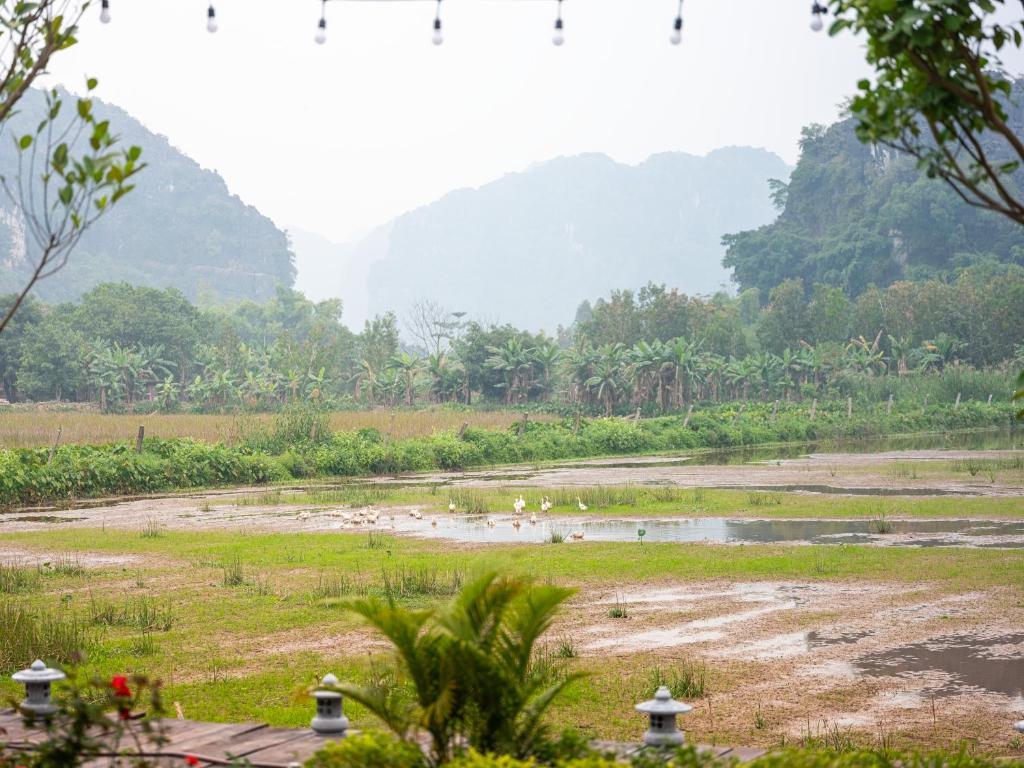 Ailee Villa&Hotel TamCoc - 2