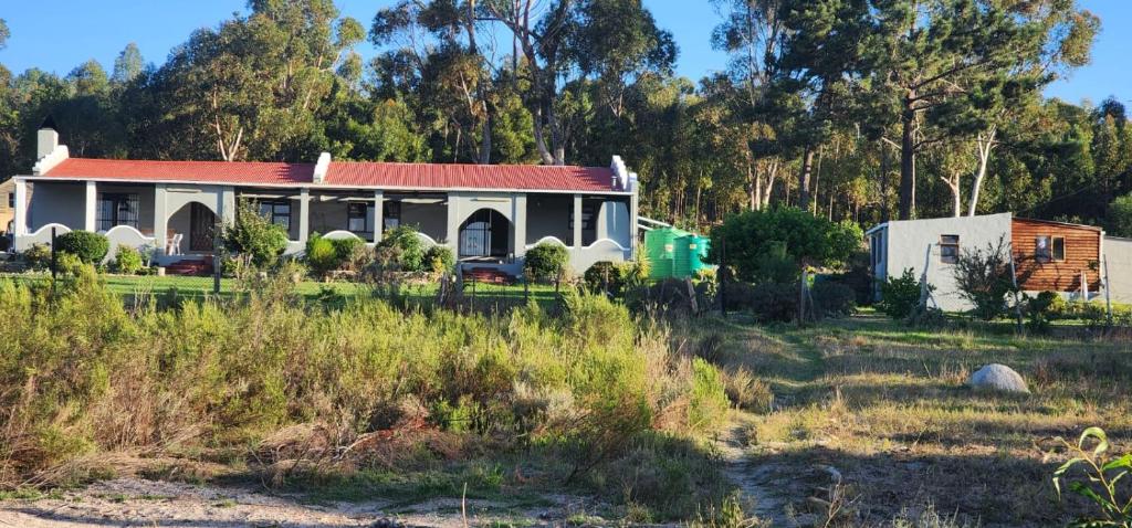 a house with a red roof in a field at Tesselaarsdal Backpackers & Koshuis in Caledon