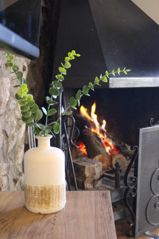 a plant in a vase on a table in front of a fireplace at Apartament Cal Barracaire in Vilallonga de Ter