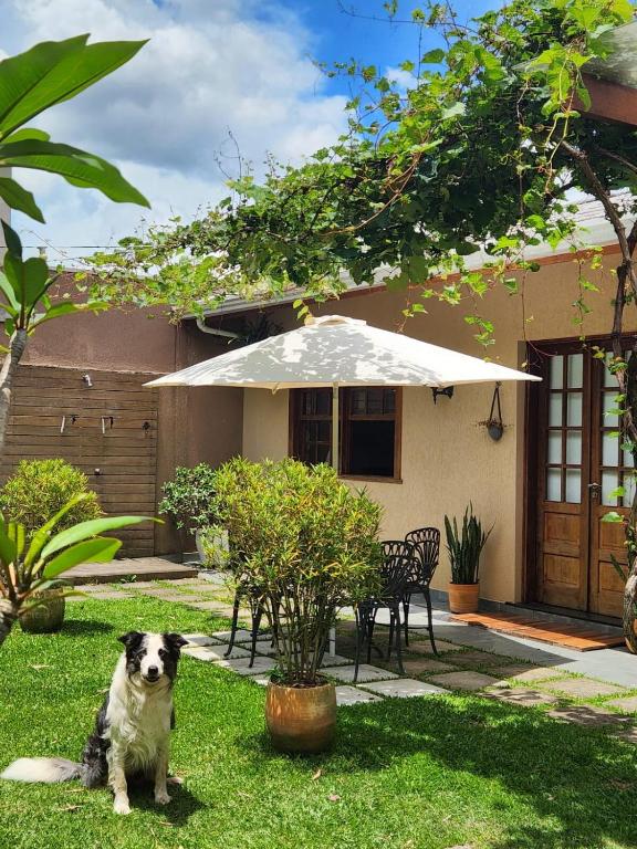 a dog sitting in the grass in front of a house at Suíte Parque Barigui in Curitiba