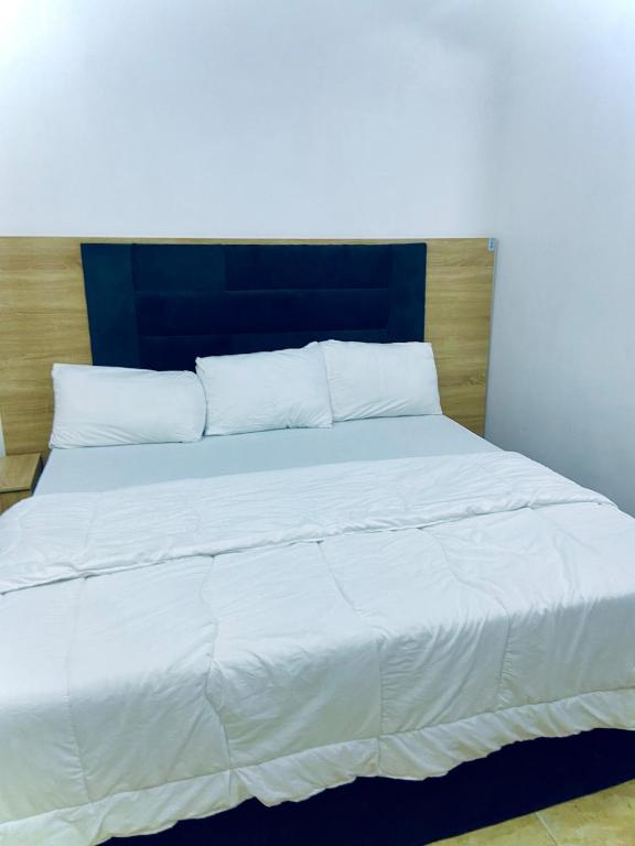 Postel nebo postele na pokoji v ubytování Studio Apartment - Lekki Lagos
