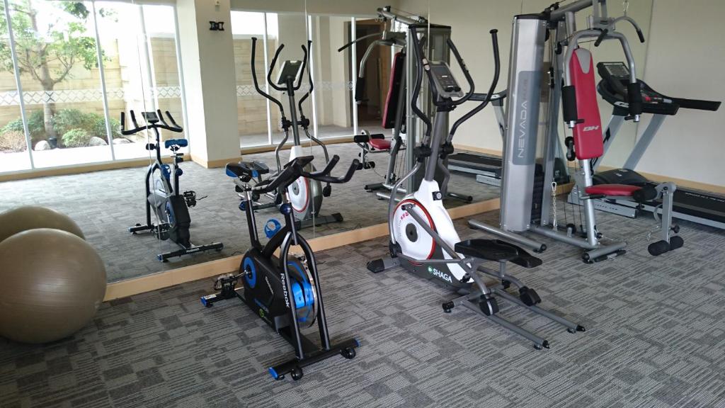 Fitness centrum a/nebo fitness zařízení v ubytování Ayaka Suites