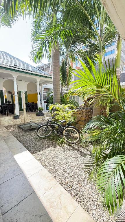 Zahrada ubytování Hotel Balcones de Bocagrande