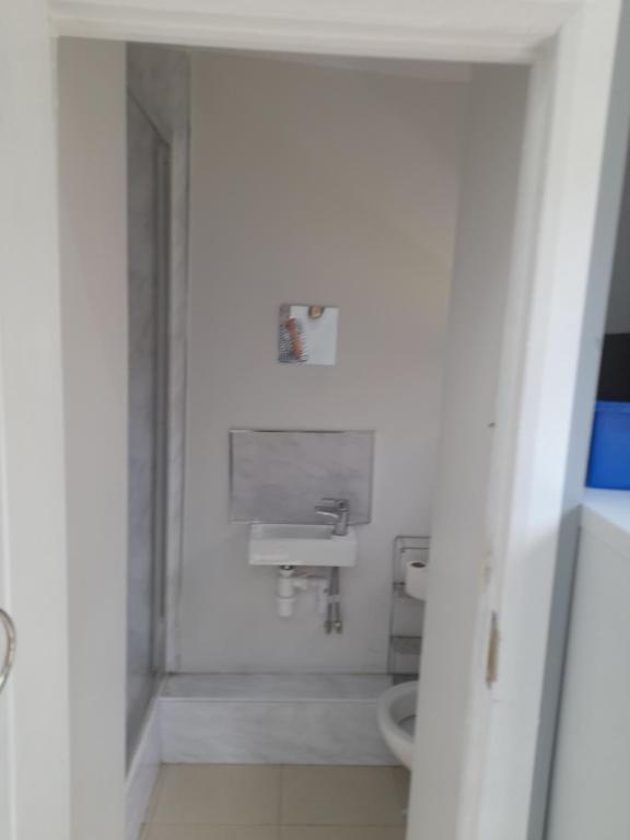 Un baño de Livingstone