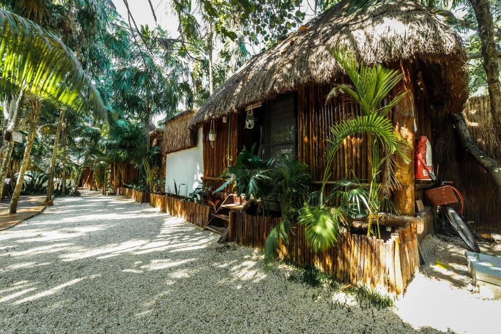 ECo.Bañitas Hotel Feature 2