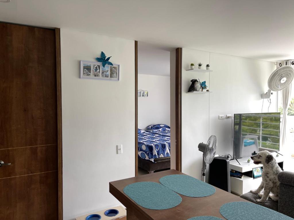 Postel nebo postele na pokoji v ubytování Espectacular apartamento en Melgar