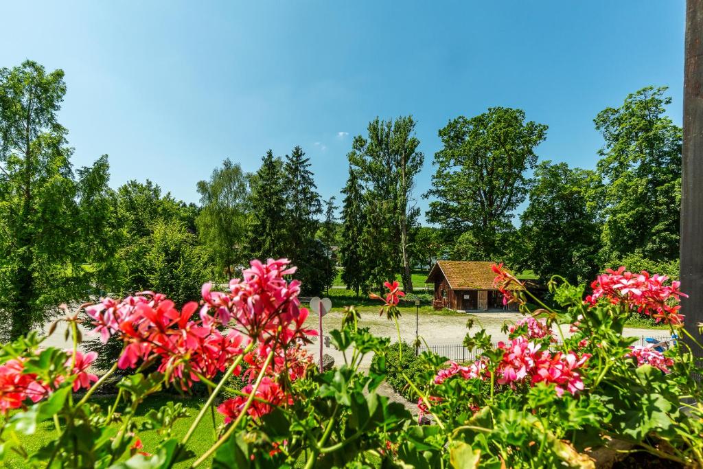 Zahrada ubytování Hotel Zum Forst