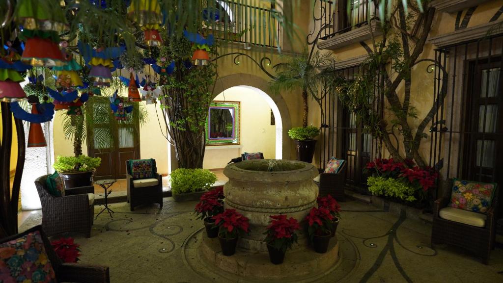 Zahrada ubytování Hotel De La Soledad