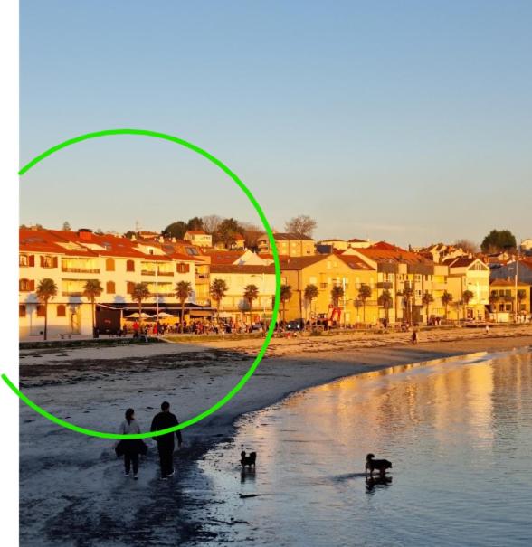 a green circle on a beach with people and dogs at Apartamento PANXOLIÑAS in Panjón