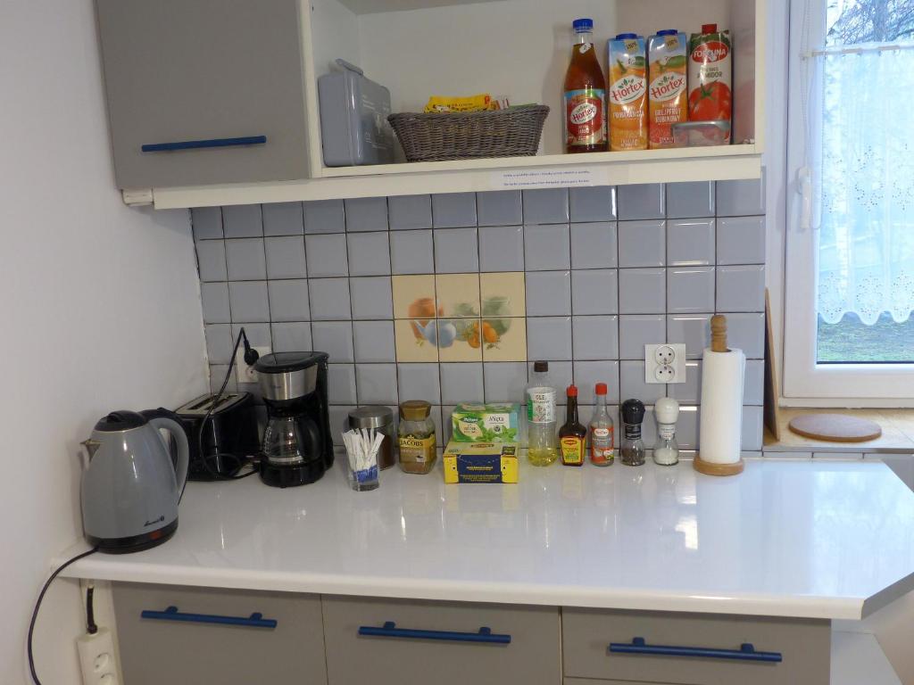 Kuchyňa alebo kuchynka v ubytovaní Apartament Kraszewskiego