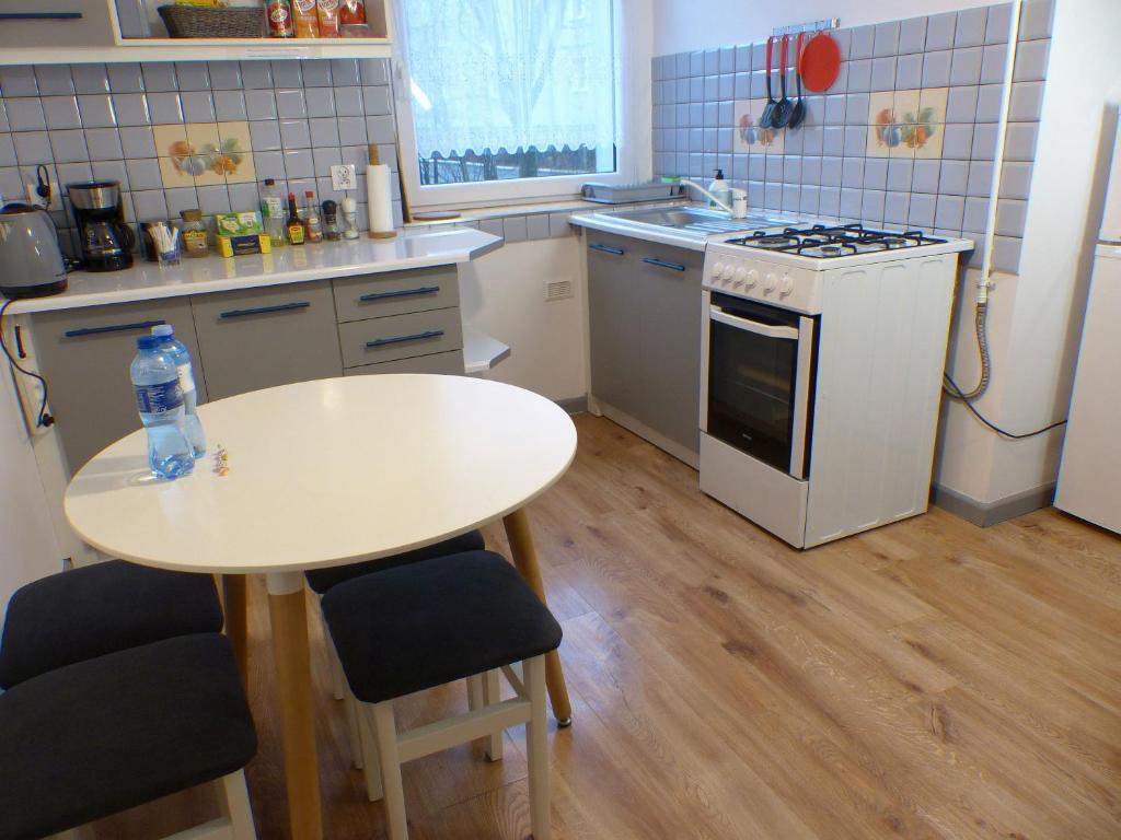 Kuchyňa alebo kuchynka v ubytovaní Apartament Kraszewskiego
