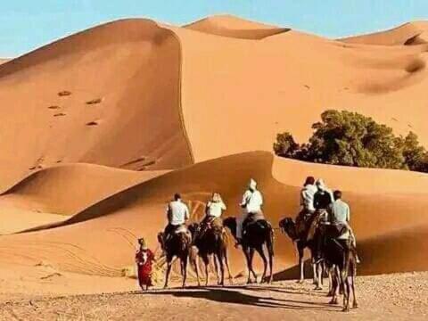 Hosté ubytování Bivouac Camel Trips