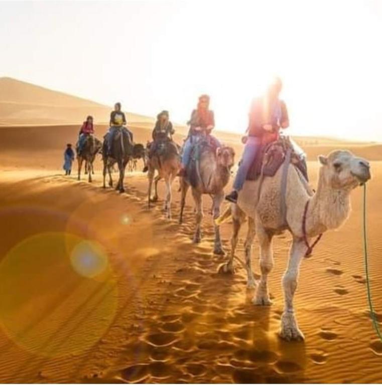 Hosté ubytování Bivouac Camel Trips