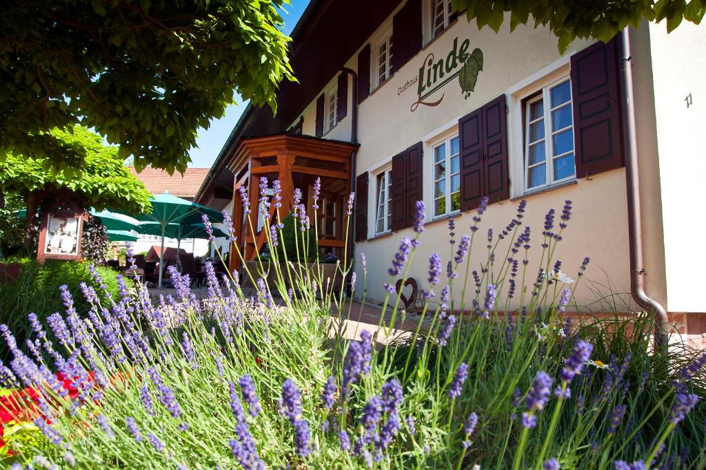 Zahrada ubytování Gasthaus Linde