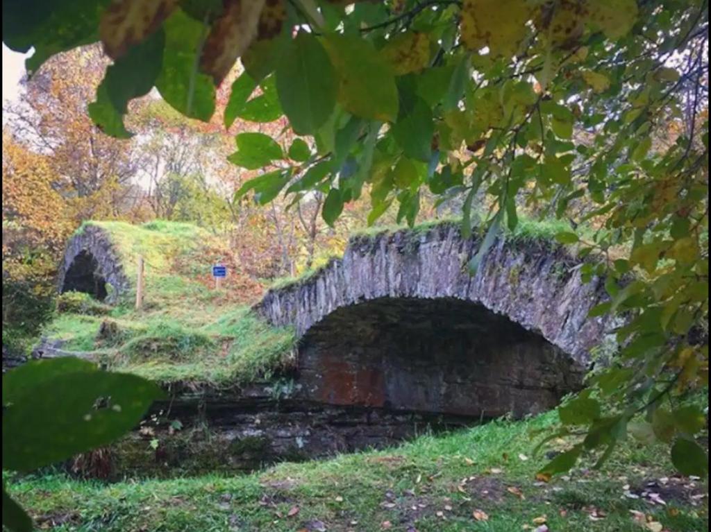 Zahrada ubytování Falls Cottage
