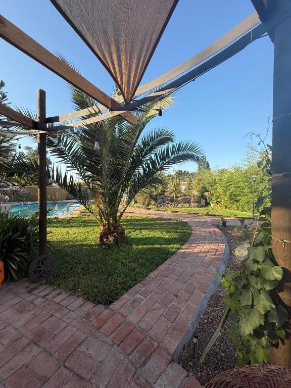 Zahrada ubytování Hostal Campo Divino