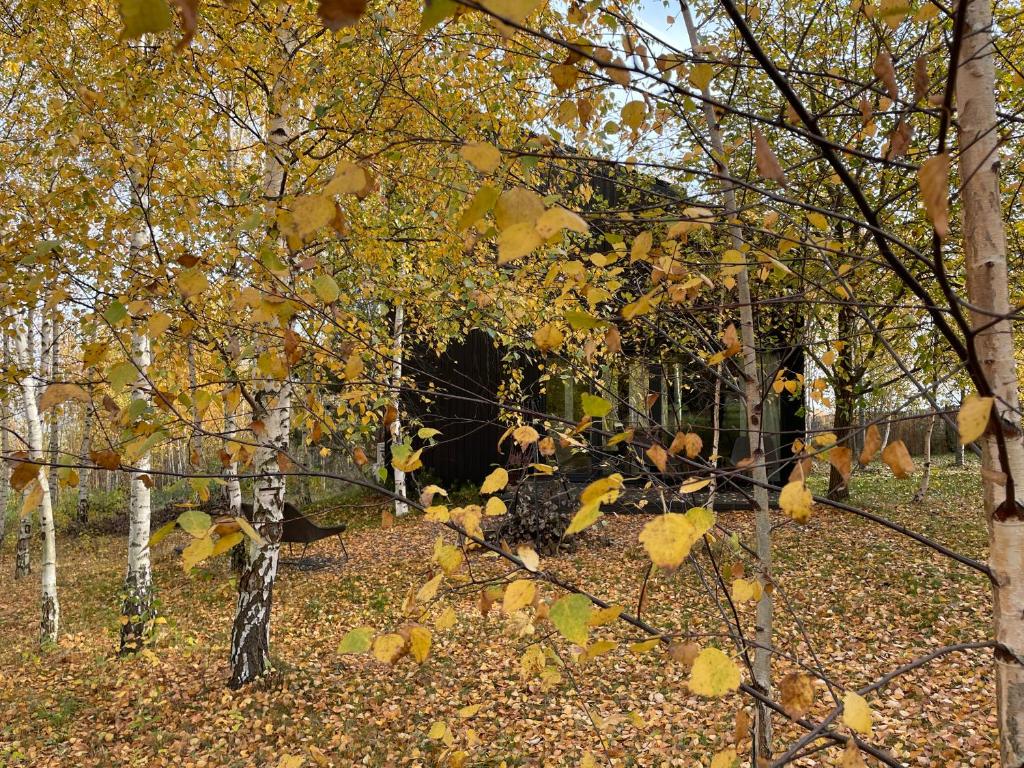 Fotografia z galérie ubytovania Drewniany dom w brzozowisku v destinácii Pieszyce