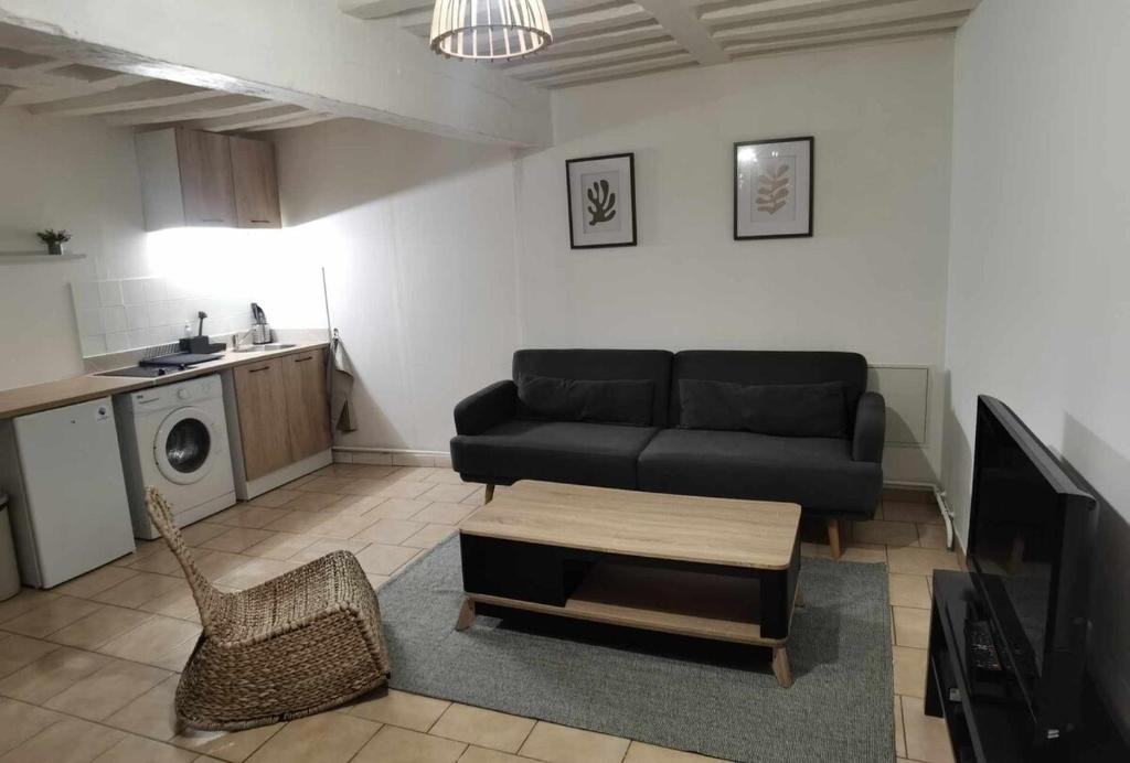 un salon avec un canapé et une table dans l'établissement Duplex proche Jardins des plantes, à Rouen